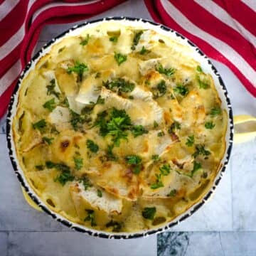 celeriac gratin