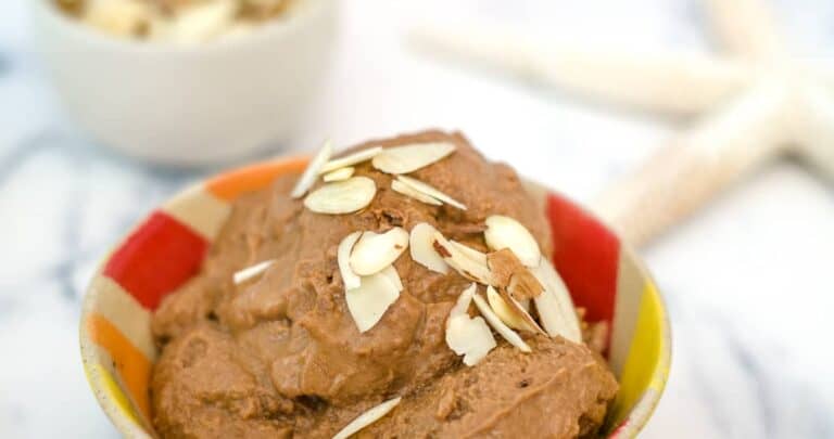 chocolate vegan ice cream
