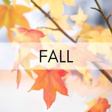 Fall Recipes