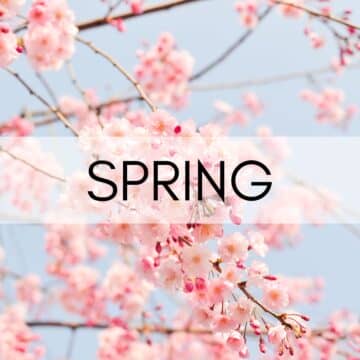Spring Recipes